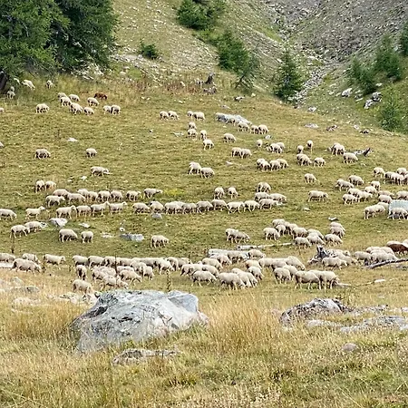 Le Refuge